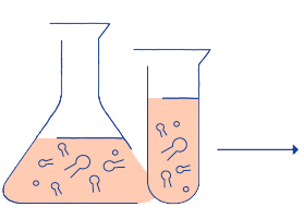 grafika-2